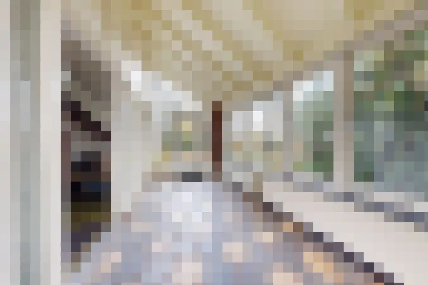 Pelgrimsdijk 2 a Zevenbergschen Hoek thumbnail 8