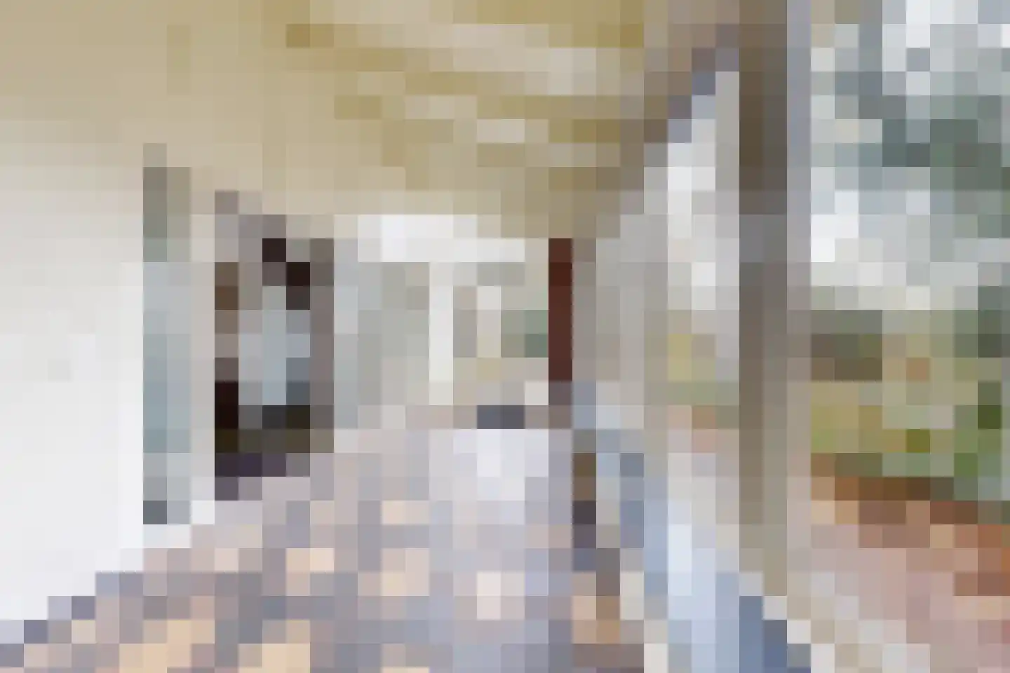 Pelgrimsdijk 2 a Zevenbergschen Hoek thumbnail 9