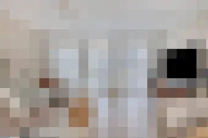 Pelgrimshei 19 Best thumbnail 10