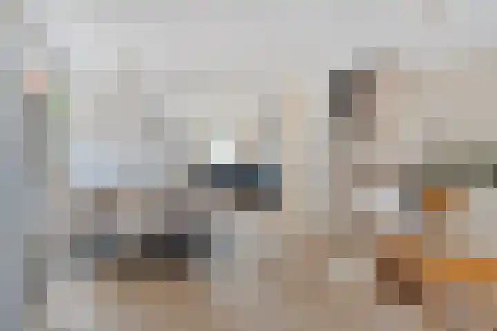 Pelgrimshei 19 Best thumbnail 12