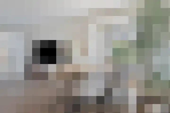Pelgrimshei 19 Best thumbnail 14