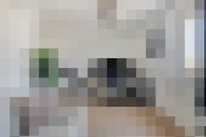 Pelgrimshei 19 Best thumbnail 28