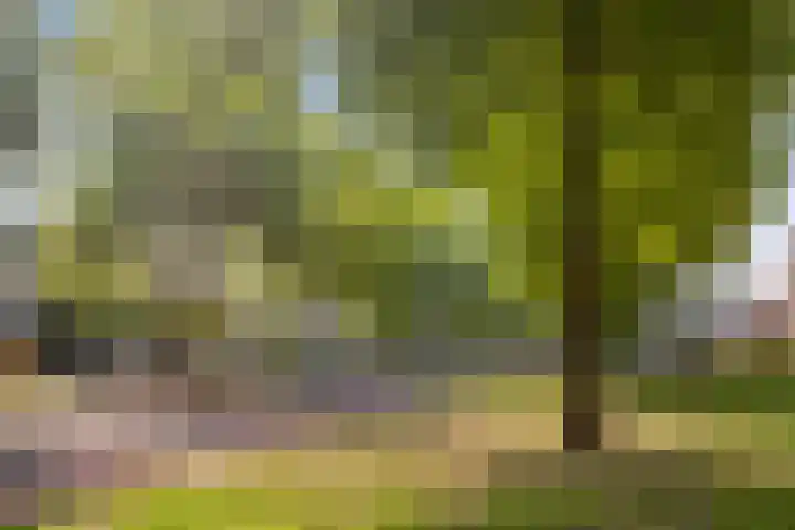 Pelgrimshei 19 Best thumbnail 41