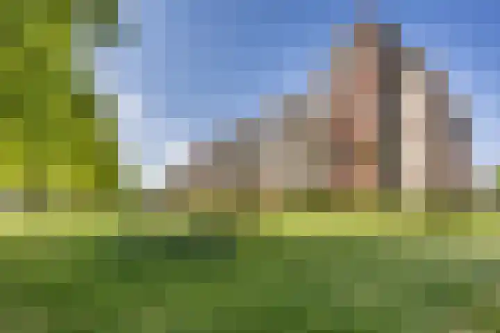 Pelgrimshei 32 Best thumbnail 46