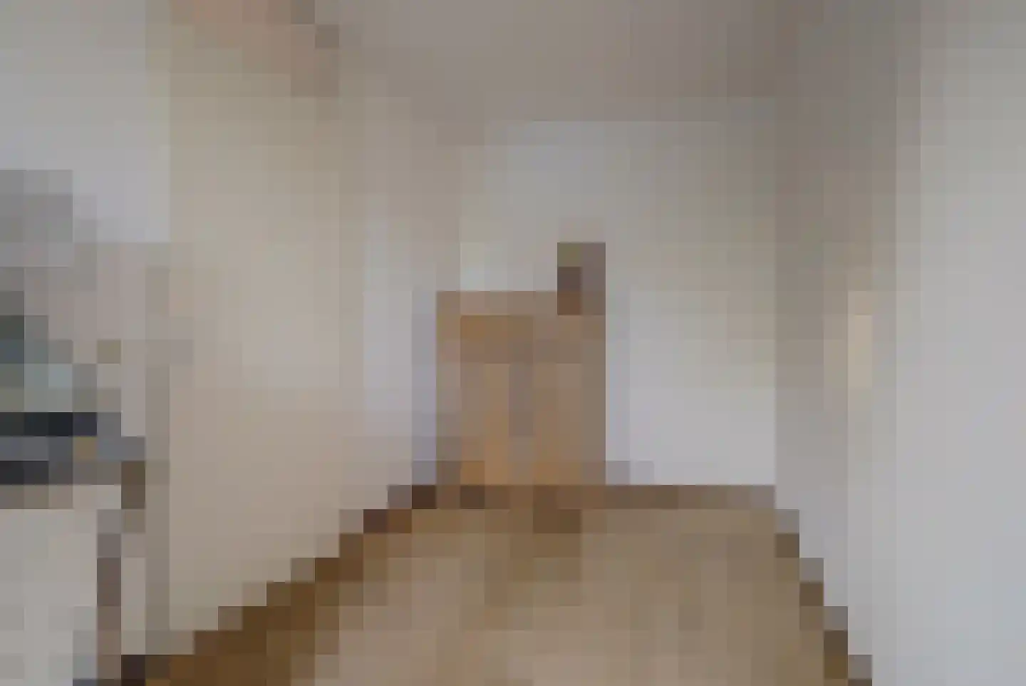 Pelgrimshei 64 Best thumbnail 24