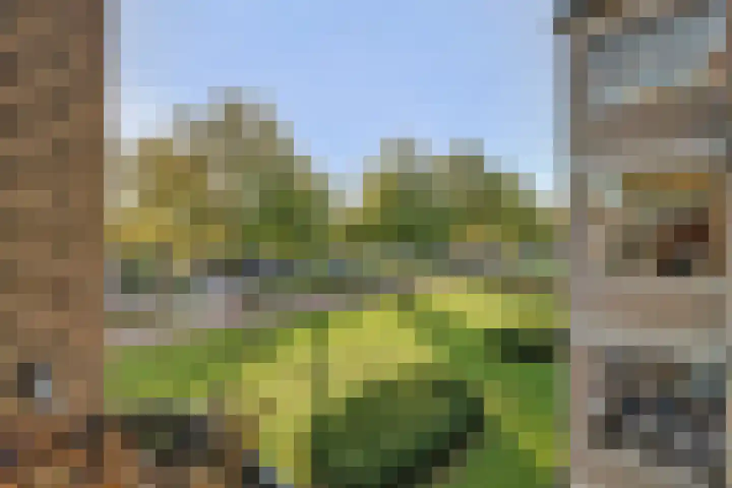Pelgrimshei 64 Best foto 3