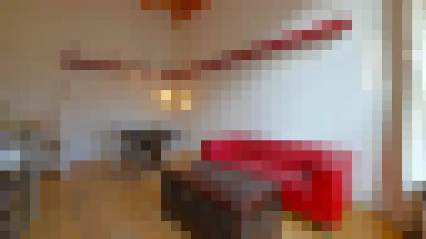 Pelgrimspoort 6 Leiden thumbnail 12
