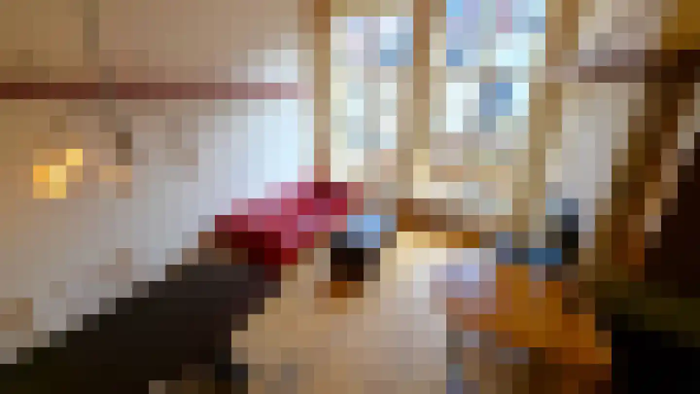 Pelgrimspoort 6 Leiden thumbnail 13