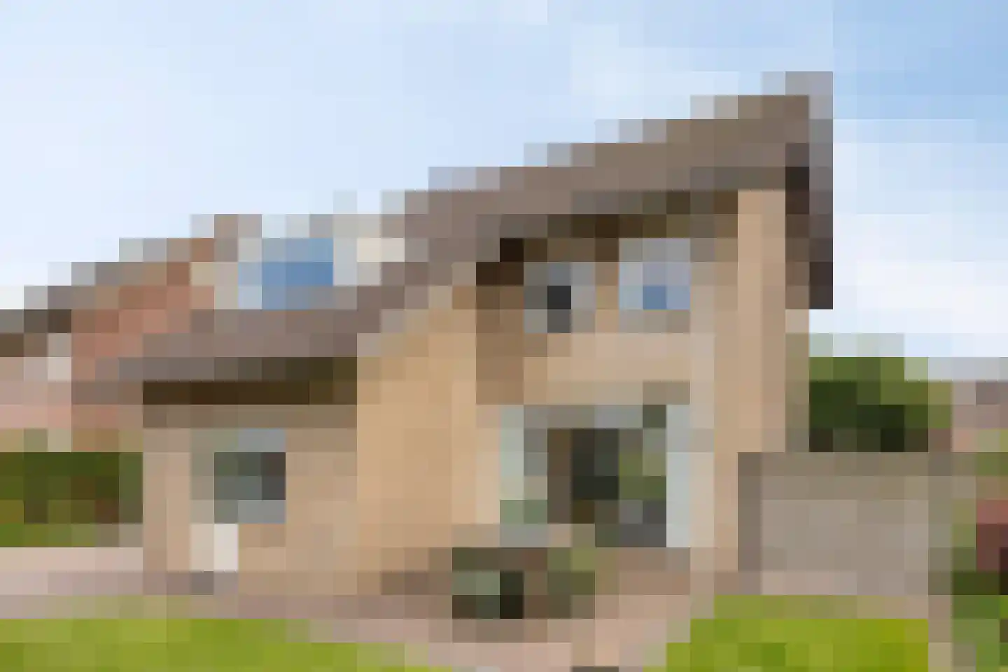 Pelgrimstraat 19 Nuland thumbnail 4