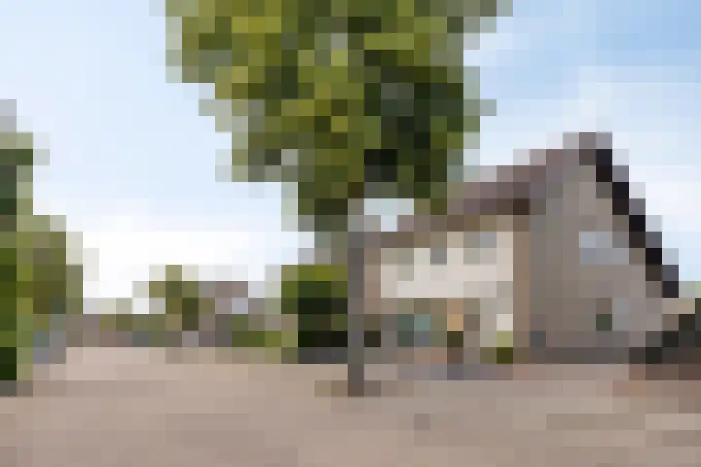 Pelgrimstraat 19 Nuland thumbnail 45