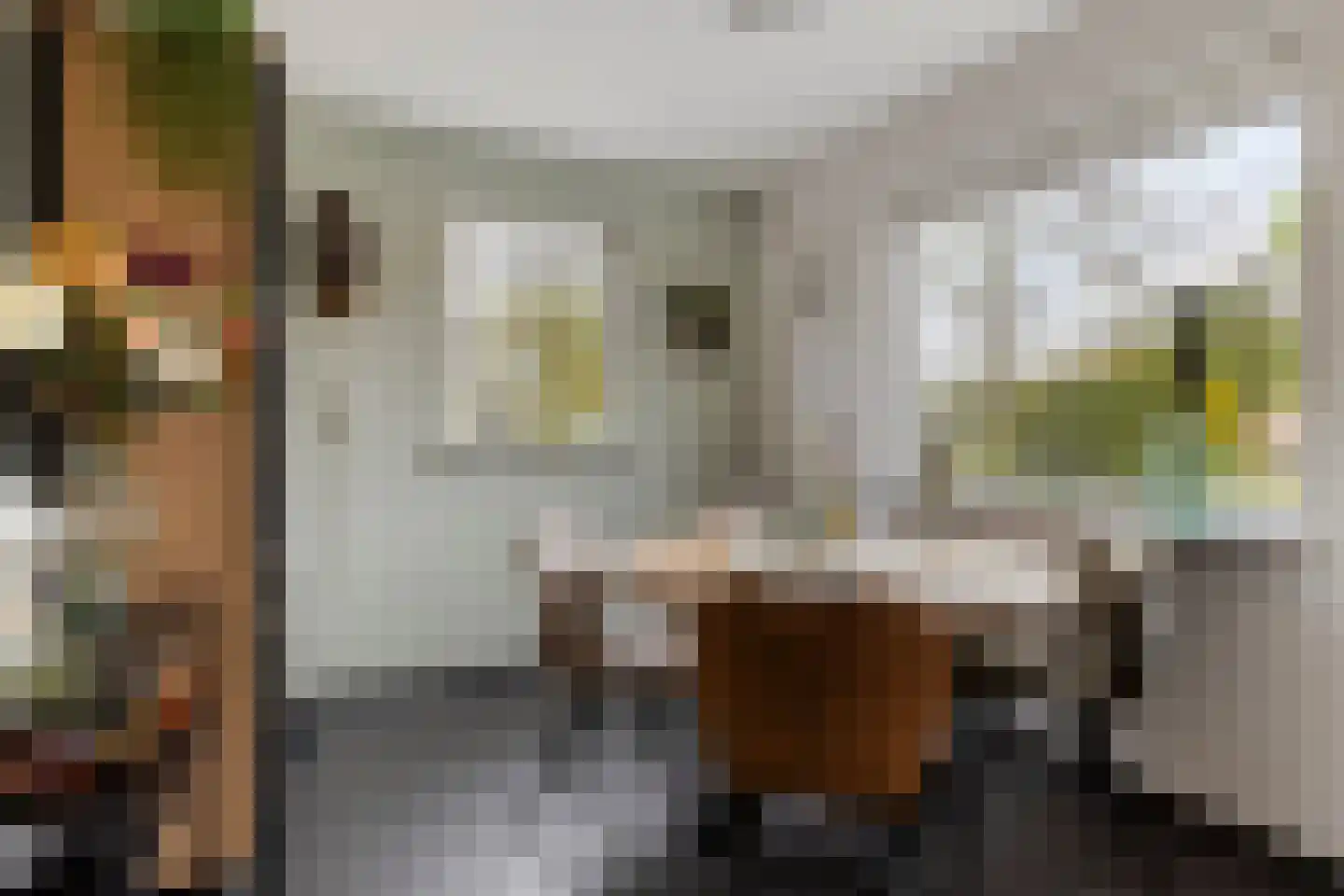 Pelgrimstraat 21 Vrouwenpolder thumbnail 10