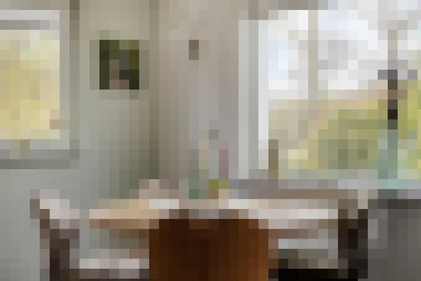 Pelgrimstraat 21 Vrouwenpolder thumbnail 11