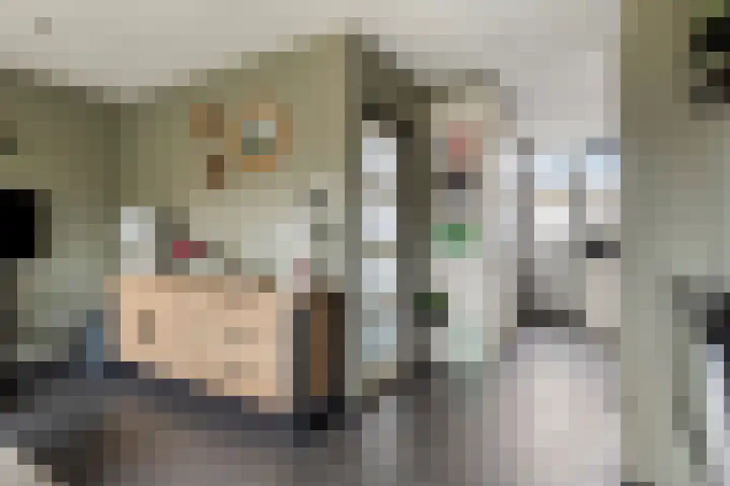 Pelgrimstraat 21 Vrouwenpolder thumbnail 13