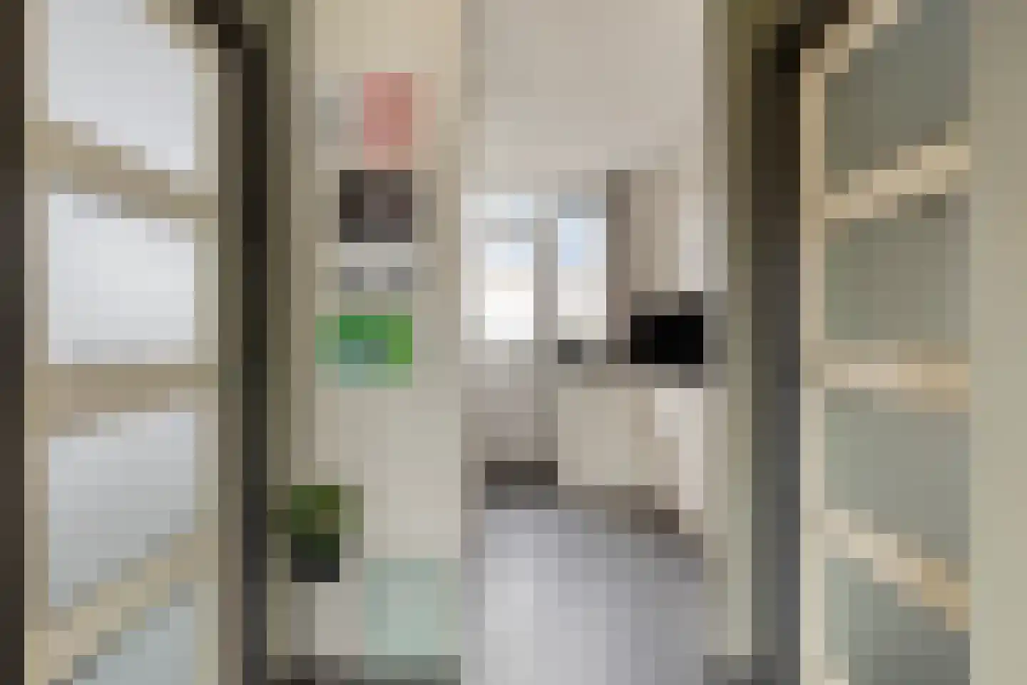 Pelgrimstraat 21 Vrouwenpolder thumbnail 14