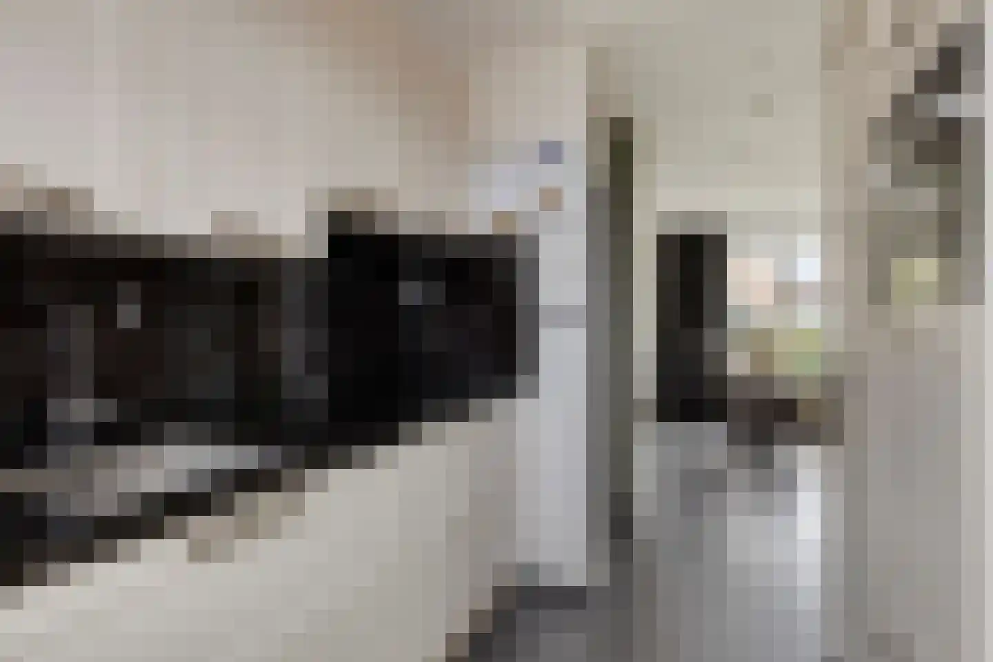 Pelgrimstraat 21 Vrouwenpolder thumbnail 18