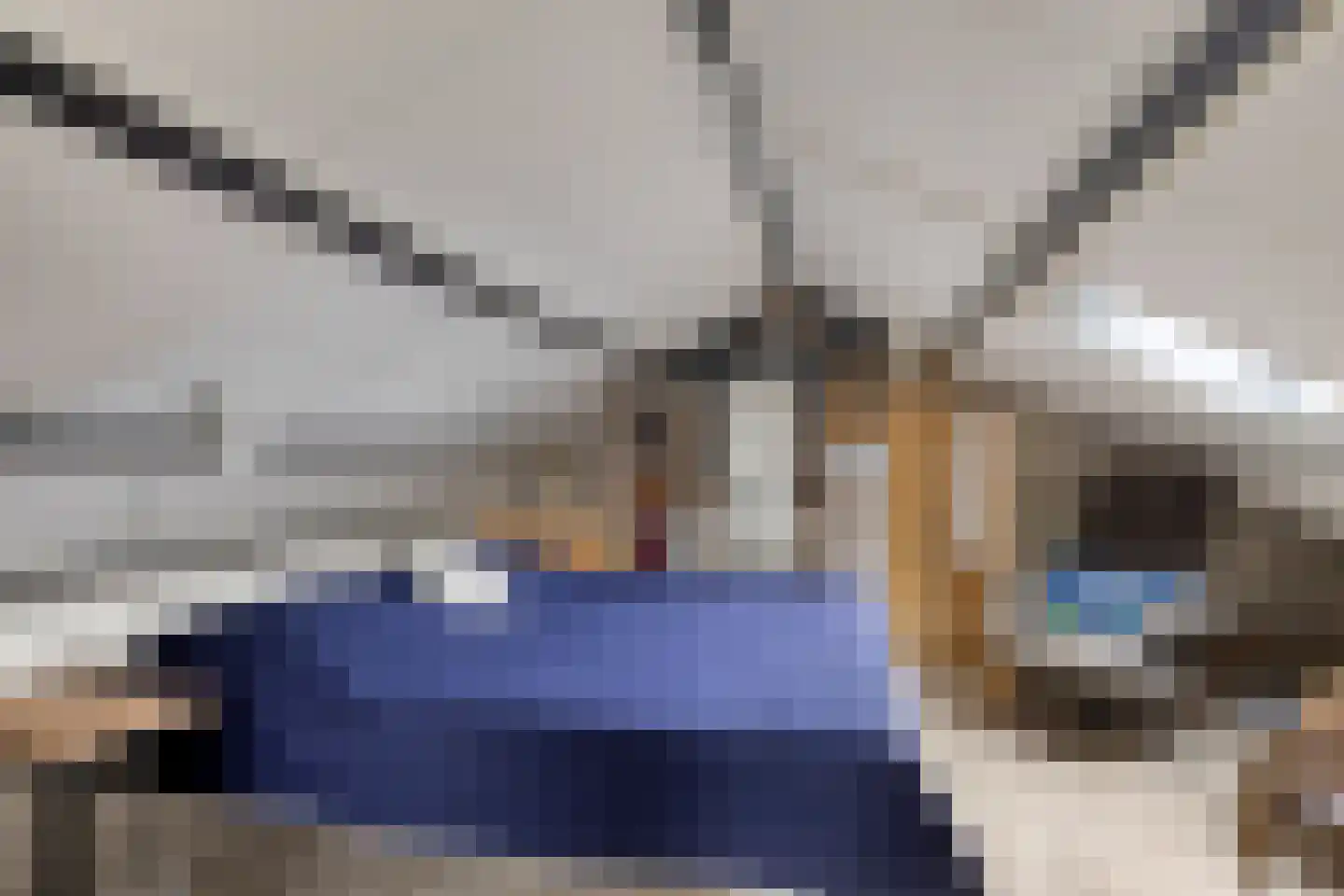 Pelgrimstraat 21 Vrouwenpolder thumbnail 27