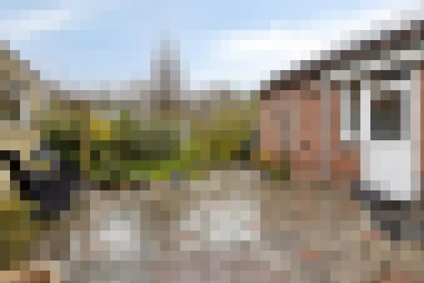 Pelgrimstraat 21 Vrouwenpolder thumbnail 30