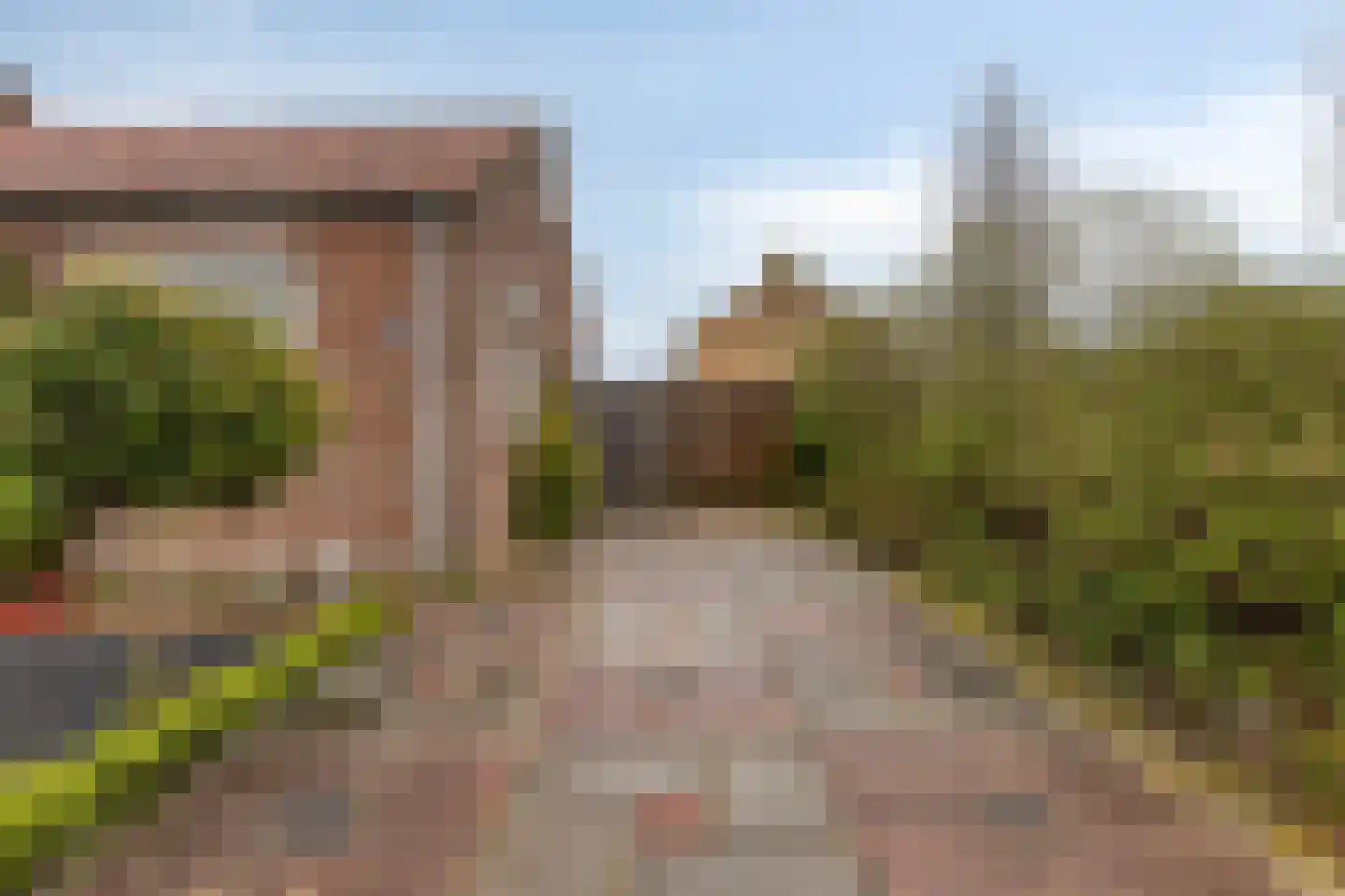 Pelgrimstraat 21 Vrouwenpolder thumbnail 32