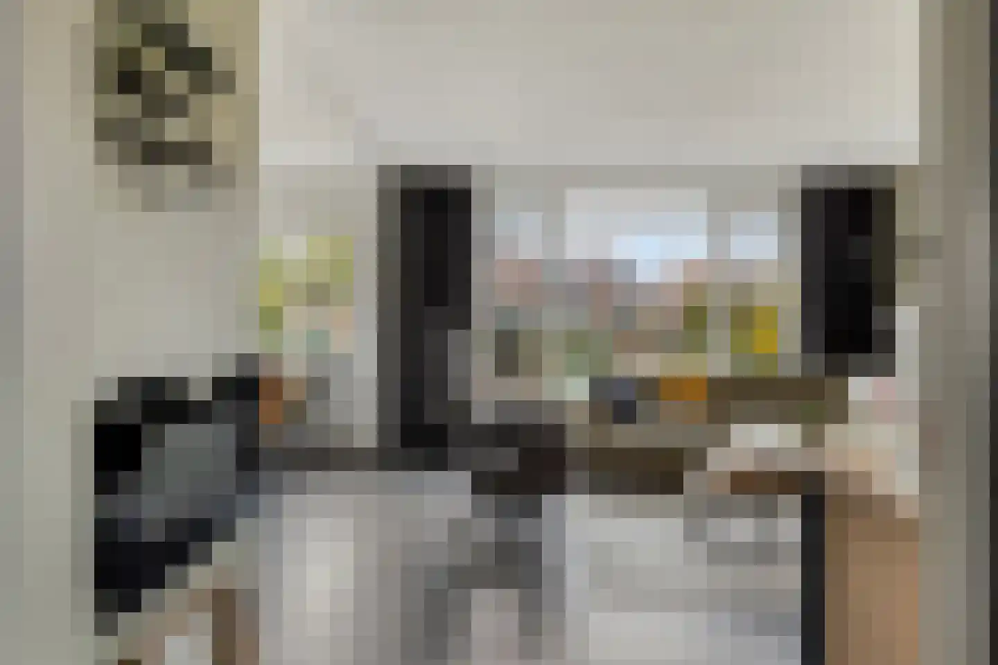 Pelgrimstraat 21 Vrouwenpolder thumbnail 5