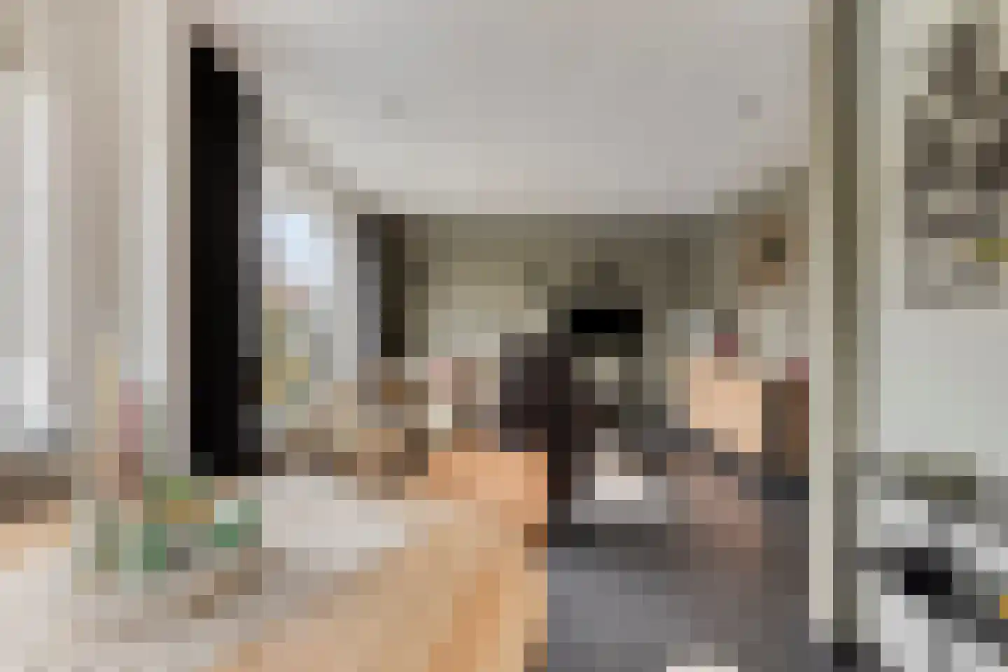 Pelgrimstraat 21 Vrouwenpolder thumbnail 7