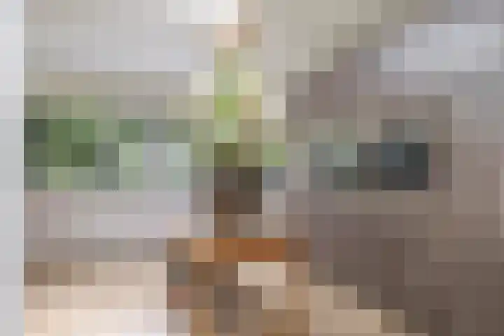 Pelgrimstraat 27 Gaanderen thumbnail 21