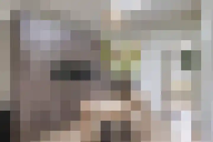 Pelgrimstraat 27 Gaanderen thumbnail 22