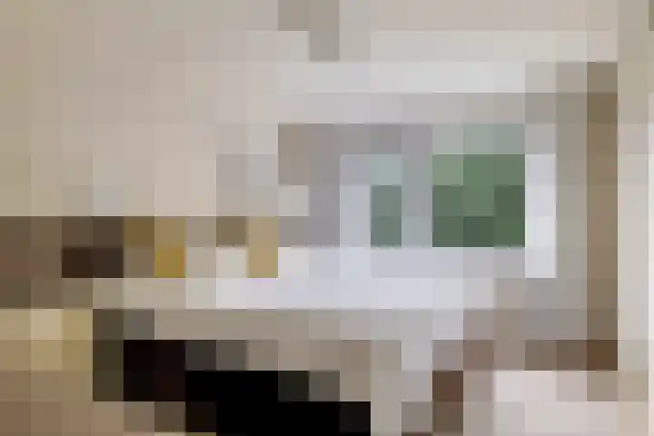 Pelgrimstraat 27 Gaanderen thumbnail 29
