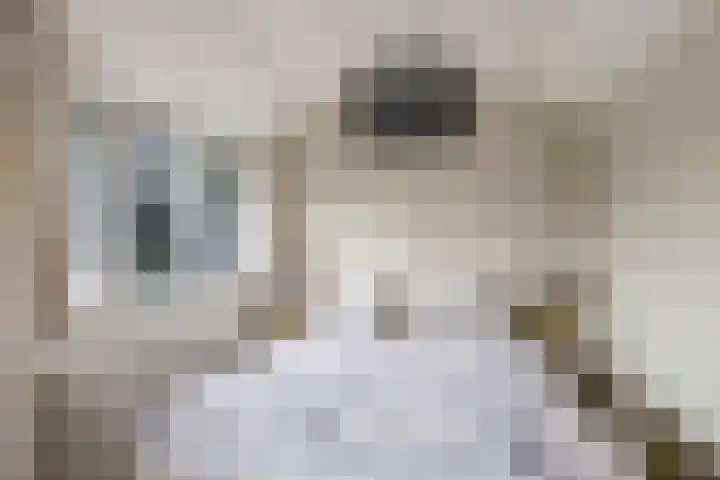 Pelgrimstraat 27 Gaanderen thumbnail 39