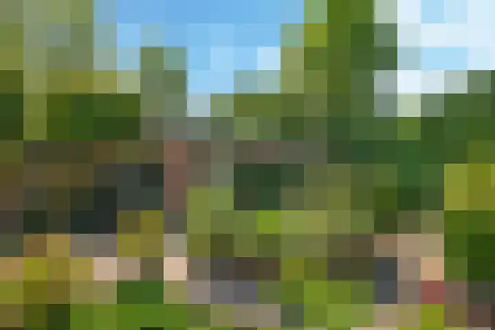 Pelgrimstraat 27 Gaanderen thumbnail 42