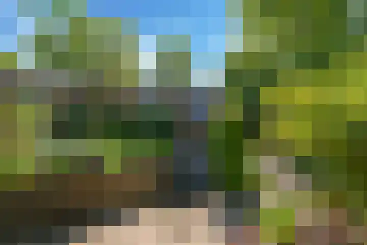 Pelgrimstraat 27 Gaanderen thumbnail 43