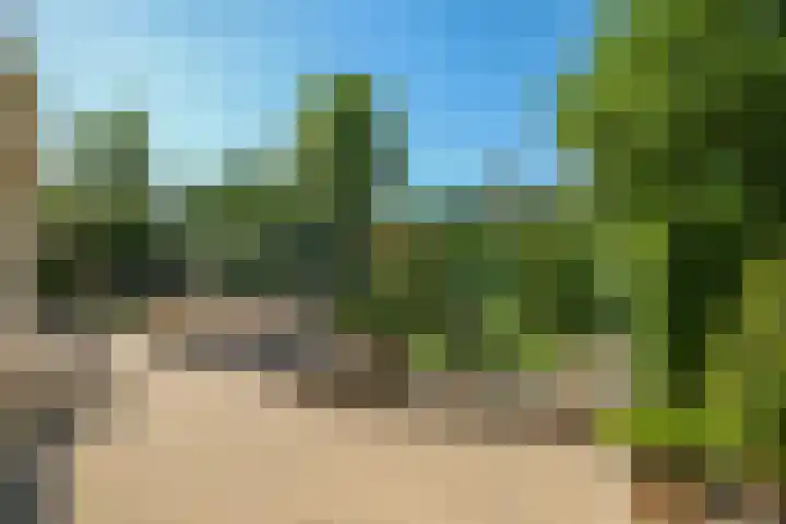 Pelgrimstraat 27 Gaanderen thumbnail 52