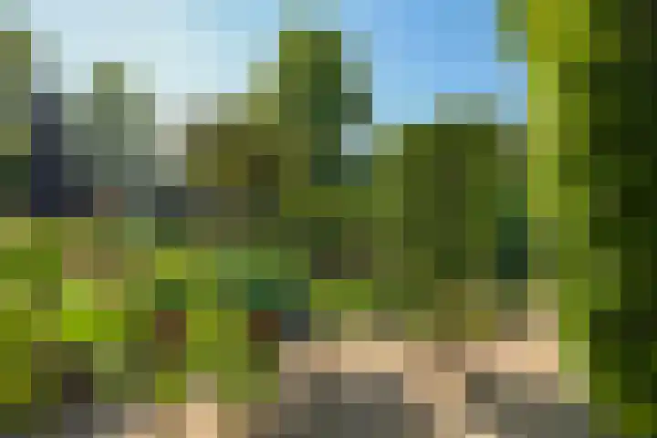Pelgrimstraat 27 Gaanderen thumbnail 53