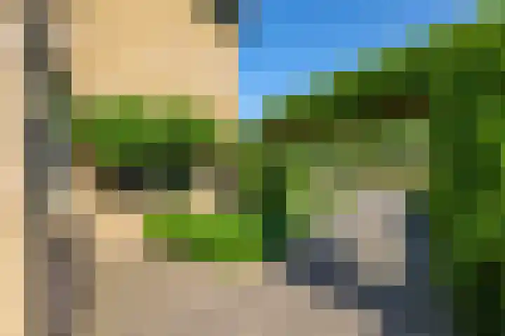 Pelgrimstraat 27 Gaanderen thumbnail 56