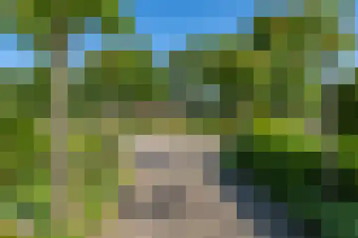 Pelgrimstraat 27 Gaanderen thumbnail 57
