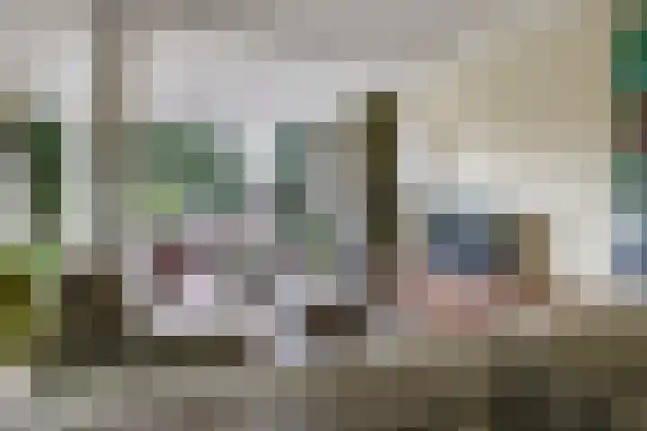 Pelgrimstraat 27 Gaanderen thumbnail 7