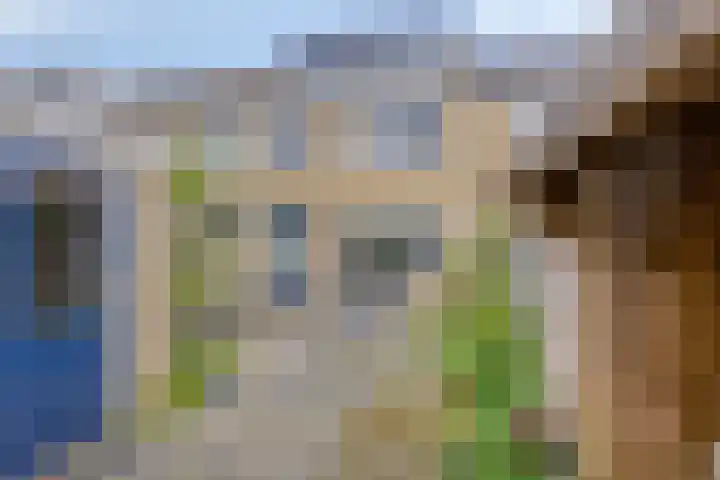 Pelgrimstraat 50 Vrouwenpolder thumbnail 21