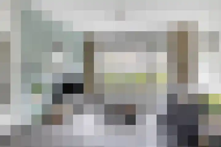 Pelgrimstraat 50 Vrouwenpolder thumbnail 4