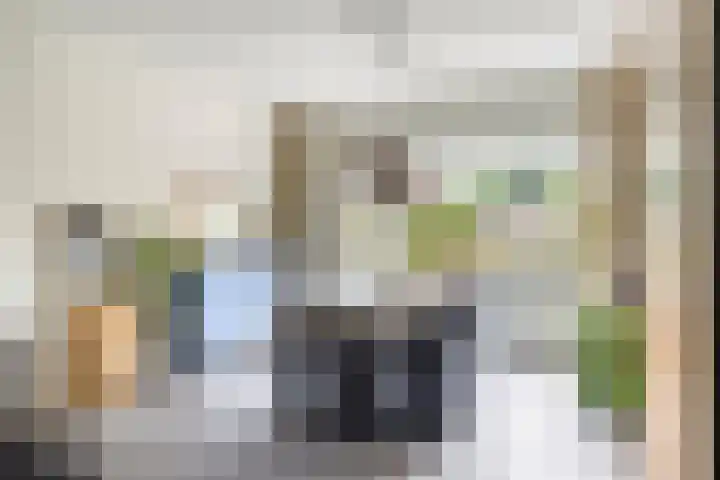 Pelgrimstraat 50 Vrouwenpolder thumbnail 6