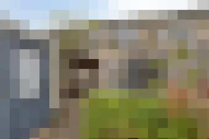 Pelgrimstraat 55 Vrouwenpolder thumbnail 21