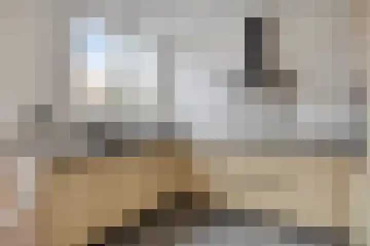 Pelgrimstraat 55 Vrouwenpolder thumbnail 6
