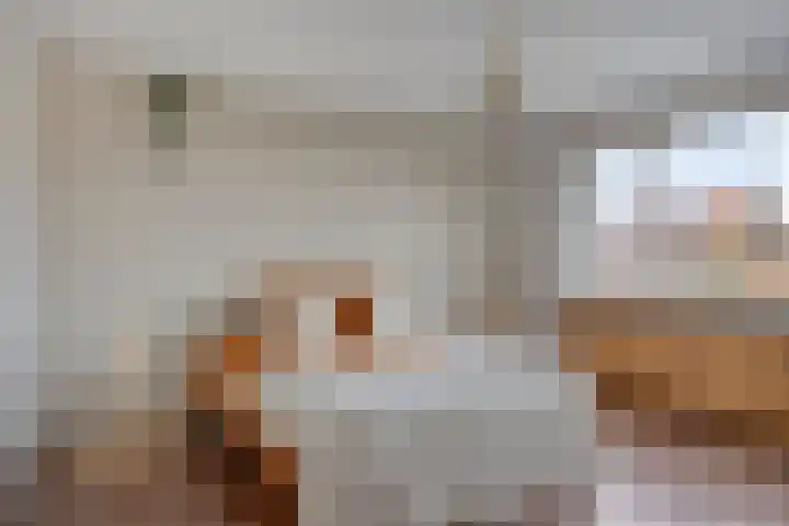 Pelgrimstraat 55 Vrouwenpolder thumbnail 9