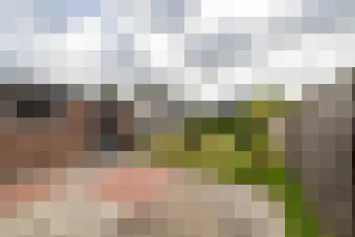 Pelgrimstraat 56 Gaanderen thumbnail 16