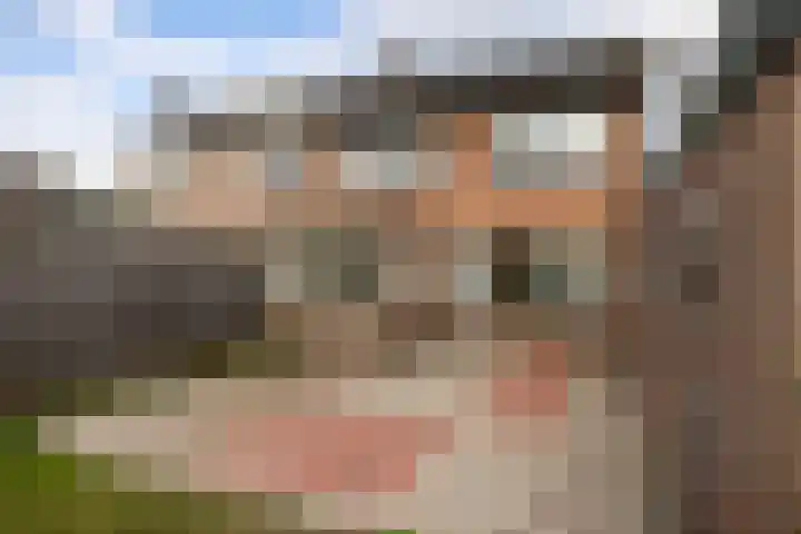 Pelgrimstraat 56 Gaanderen thumbnail 17