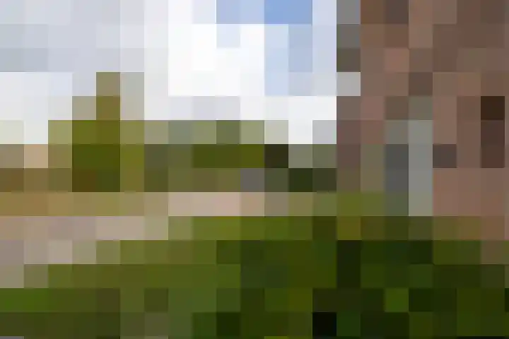 Pelgrimstraat 56 Gaanderen thumbnail 25