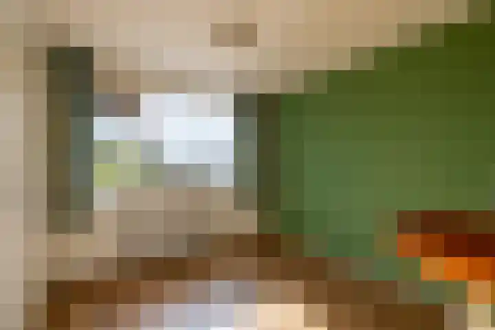 Pelgrimstraat 56 Gaanderen thumbnail 37