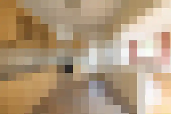 Pelgrimstraat 56 Gaanderen thumbnail 8