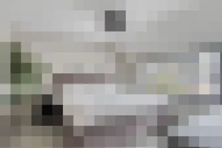 Pelgrimstraat 7 Vrouwenpolder thumbnail 16