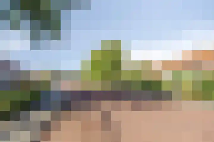 Pelgrimstraat 7 Vrouwenpolder thumbnail 21