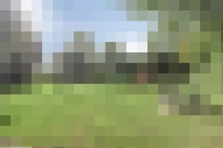 Pelgrimstraat 7 Vrouwenpolder thumbnail 22