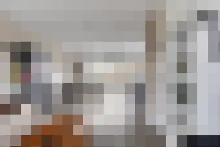 Pelgrimstraat 7 Vrouwenpolder thumbnail 4